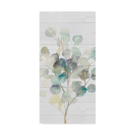 Danhui Nai 'Eucalyptus Iii On Shiplap Crop' Canvas Art,10x19